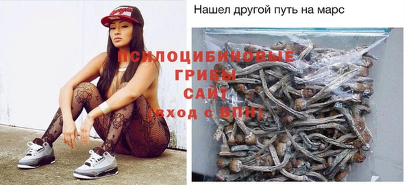 ECSTASY Аркадак